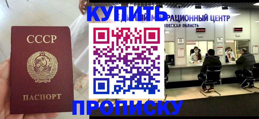 временная регистрация адрес в Луге